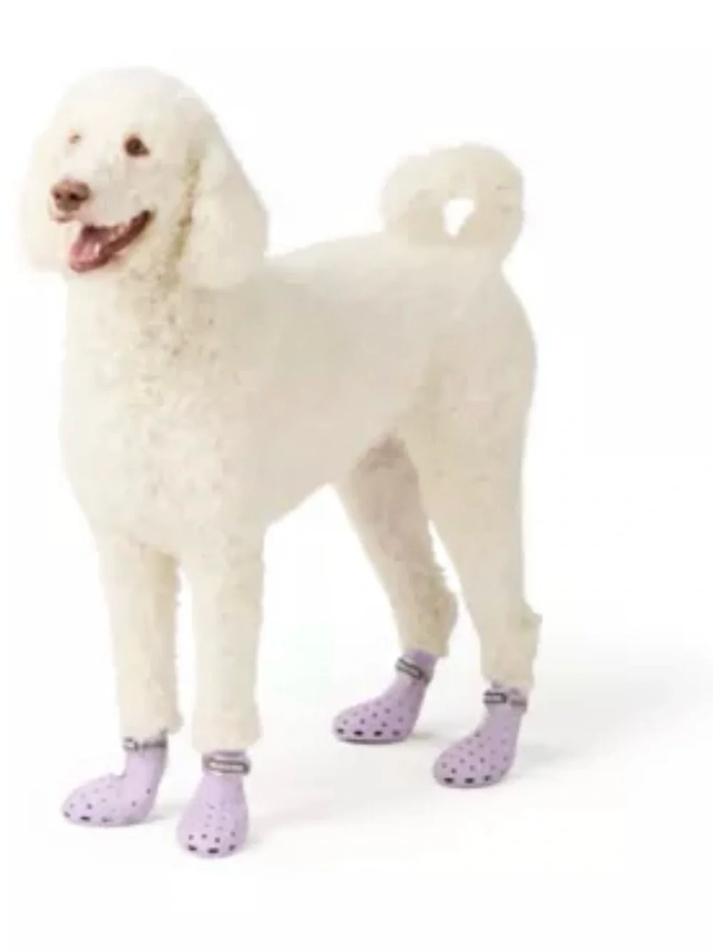 Water boots with Adjustable Cuffs for Dog